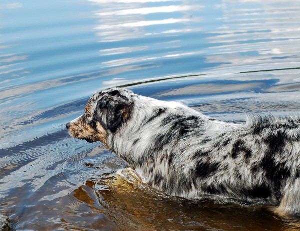 Kopia av Bad i Härskogen 002