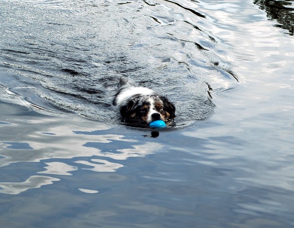 Kopia av Bad i Härskogen 101