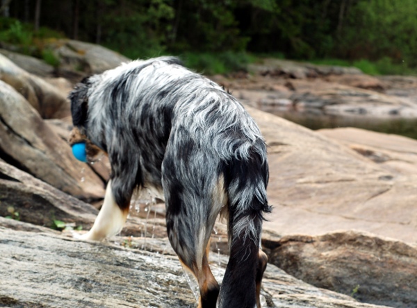 Kopia av Bad i Härskogen 115