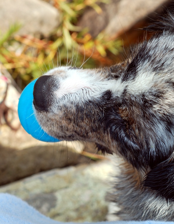 Kopia av Bad i Härskogen 127