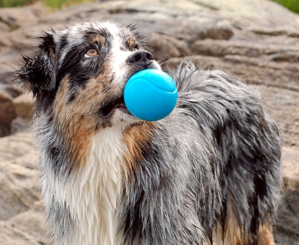 Kopia av Kopia av Bad i Härskogen 120